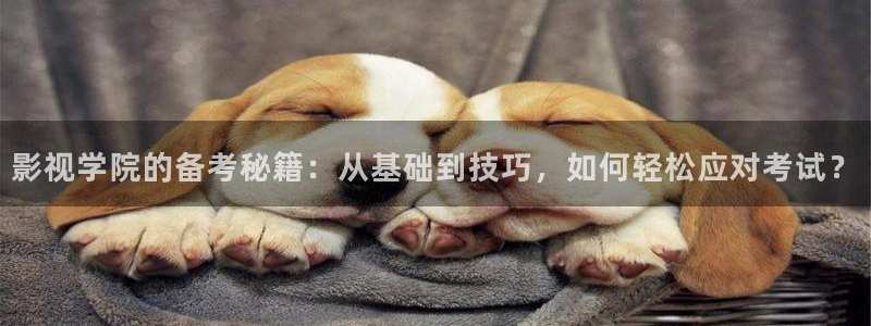 樱桃视频久久精品：影视学院的备考秘籍：从基础到技巧，如何轻松应对考试？