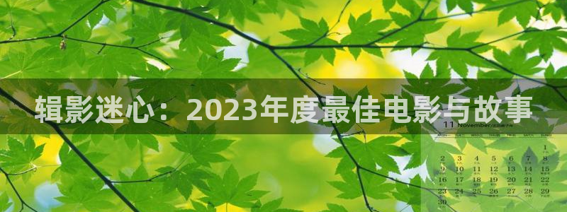 樱桃视频安卓：辑影迷心：2023年度最佳电影与故事