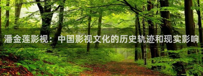 :视频樱桃：潘金莲影视：中国影视文化的历史轨迹和现实影响