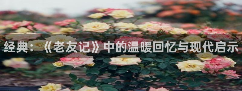 樱桃视频2026：经典：《老友记》中的温暖回忆与现代启示