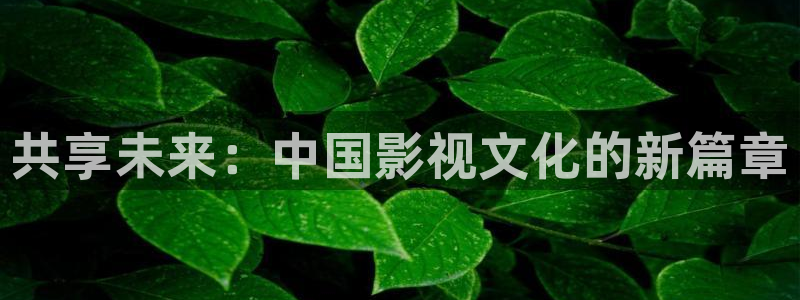 樱桃小萝卜种植视频：共享未来：中国影视文化的新篇章