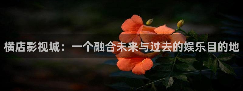 樱桃辽宁：横店影视城：一个融合未来与过去的娱乐目的地