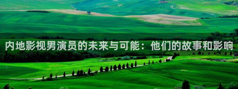 樱桃视频首页入口：内地影视男演员的未来与可能：他们的故事和影响